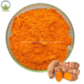 Корневой экстракт куркумы 95% curcuminoids curcumin порошок